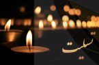 پیام تسلیت رئیس هیات مدیره چادرملو در پی شهادت رئیس جمهور و همراهان رئیس هیات مدیره چادرملو پیامی منتشر کرد