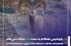 پتروشیمی هنگام به سمت سبز حرکت می‌کند؛ تفاهم‌نامه حفاظت از منطقه تنگ شیرین در بوشهر امضا شد