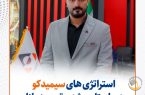 استراتژی‌ های سیمیدکو در راستای رشد و توسعه بازار