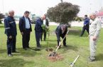 مدیرعامل نفت و گاز مارون به پویش کاشت درختان مثمر پیوست